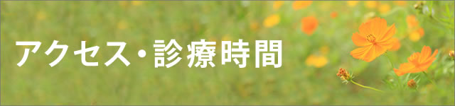 アクセス・診療時間